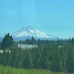 Krysten Ritter Instagram - Oregon - will miss this drive into work through Gods country. #grateful