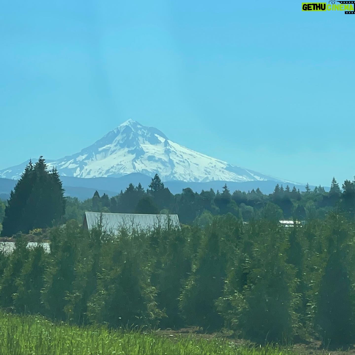 Krysten Ritter Instagram - Oregon - will miss this drive into work through Gods country. #grateful