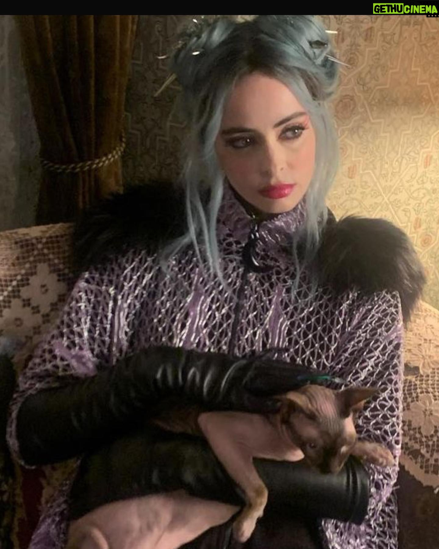 Krysten Ritter Instagram - A witch and her familiar #NIGHTBOOKS movie sept 15! One week! #spookyseason @netflix