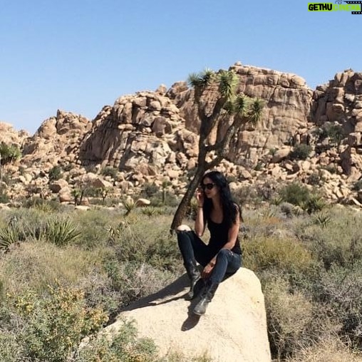 Krysten Ritter Instagram - Joshua tree throw back #uniform