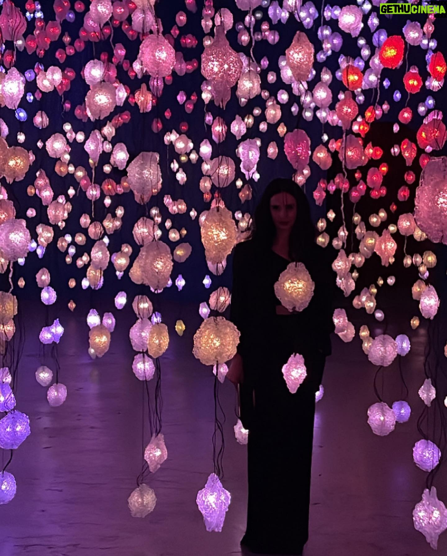 Krysten Ritter Instagram - Absolute MAGIC πͺπ - so grateful that I got to experience the #pipliottirist show (before it closes π) at #mocagala2022 - I have never seen anything like it and my mind is π― blown. (Thanks @ssmooke / @creativeartistsagency for letting me tag along and Stacey for dressing me @aliceandolivia - glam π @daniellebaum.mua )