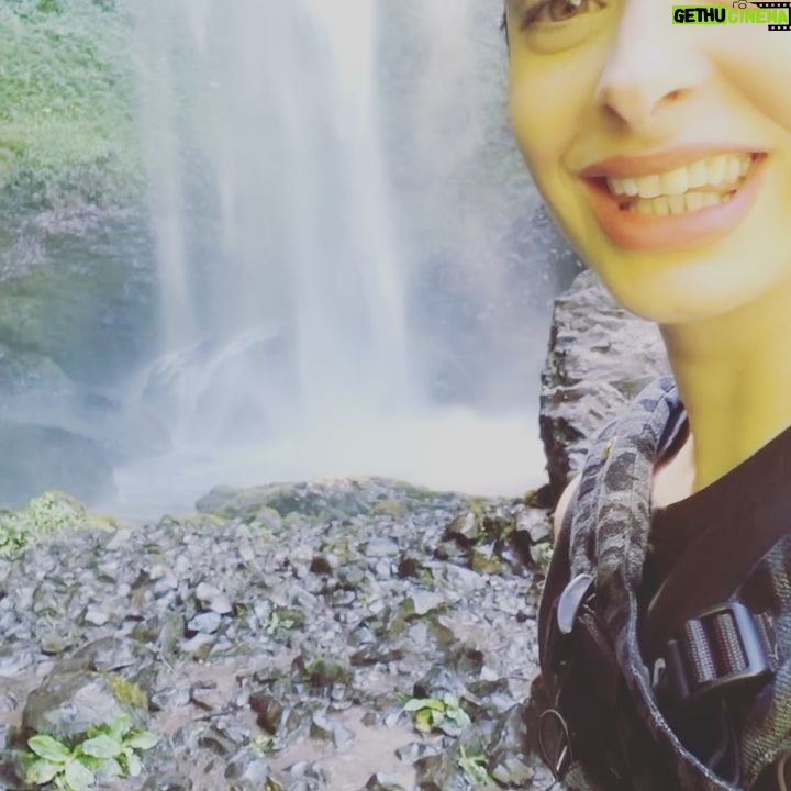 Krysten Ritter Instagram - Gorgeous Oregon