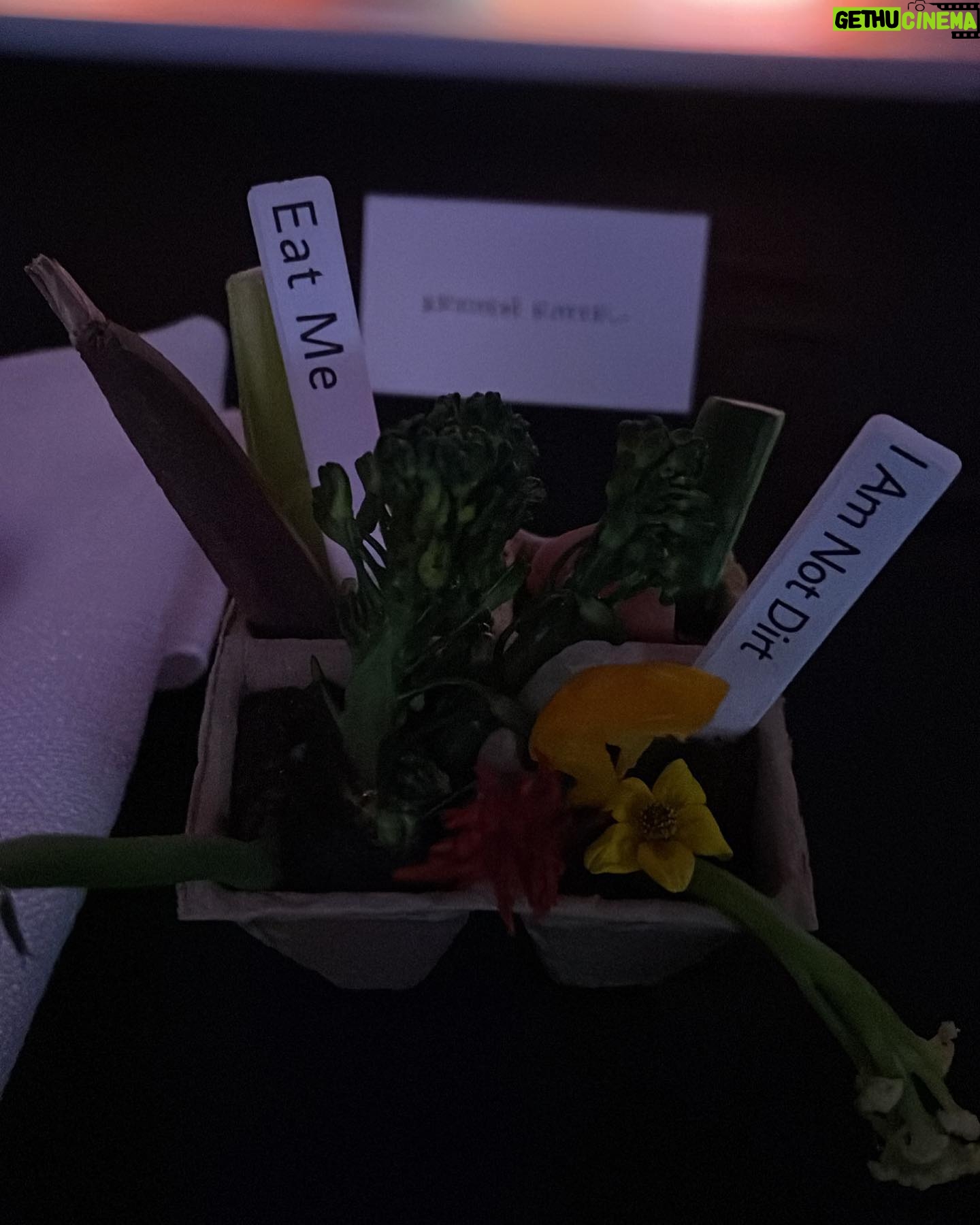 Krysten Ritter Instagram - Absolute MAGIC πͺπ - so grateful that I got to experience the #pipliottirist show (before it closes π) at #mocagala2022 - I have never seen anything like it and my mind is π― blown. (Thanks @ssmooke / @creativeartistsagency for letting me tag along and Stacey for dressing me @aliceandolivia - glam π @daniellebaum.mua )