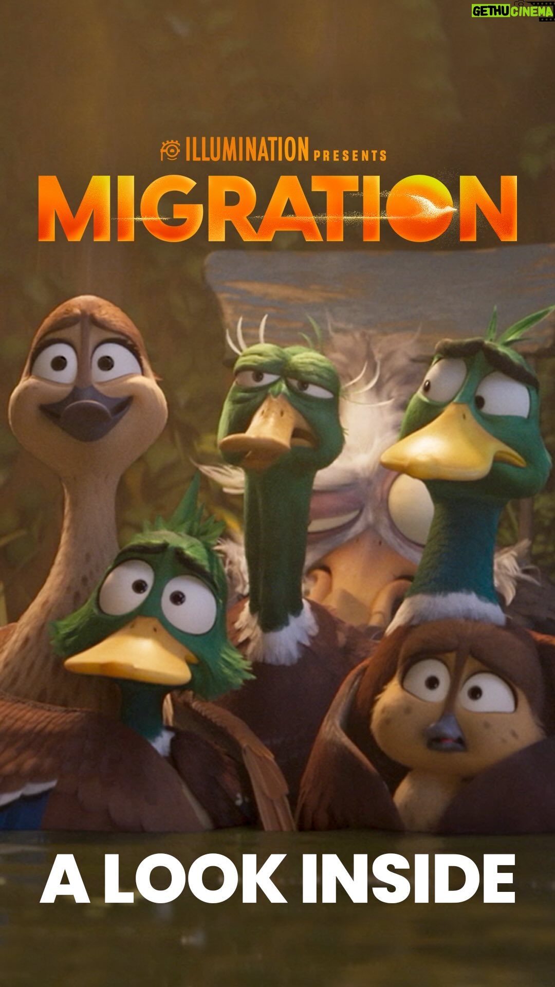 Kumail Nanjiani Instagram - The voices behind the quacks. Don’t miss this star-studded cast in #MigrationMovie, only in theaters December 22.