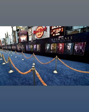 Kumail Nanjiani Instagram - More from Eternals premiere. Sorry it’s gonna be like this for a while. Watch it on November 5th. Link to tickets in bio.