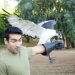 Kumail Nanjiani Instagram - Big thanks to @hawkonhand for introducing us to falconry and a bunch of awesome folks (birds of prey.) 1. Barn Owl 2. Harris’s Hawk 3. Augur Buzzard