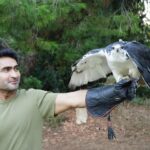 Kumail Nanjiani Instagram - Big thanks to @hawkonhand for introducing us to falconry and a bunch of awesome folks (birds of prey.) 1. Barn Owl 2. Harris’s Hawk 3. Augur Buzzard