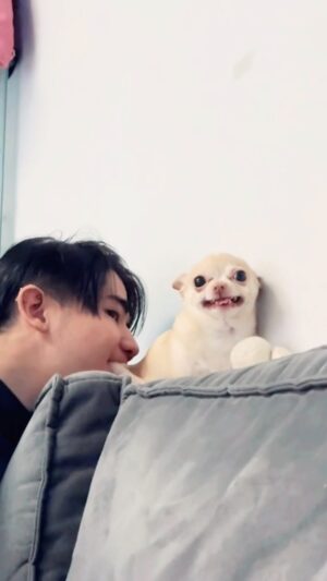 Kunatip Pinpradub Instagram - 55555  หนูโหดได้แค่นี้