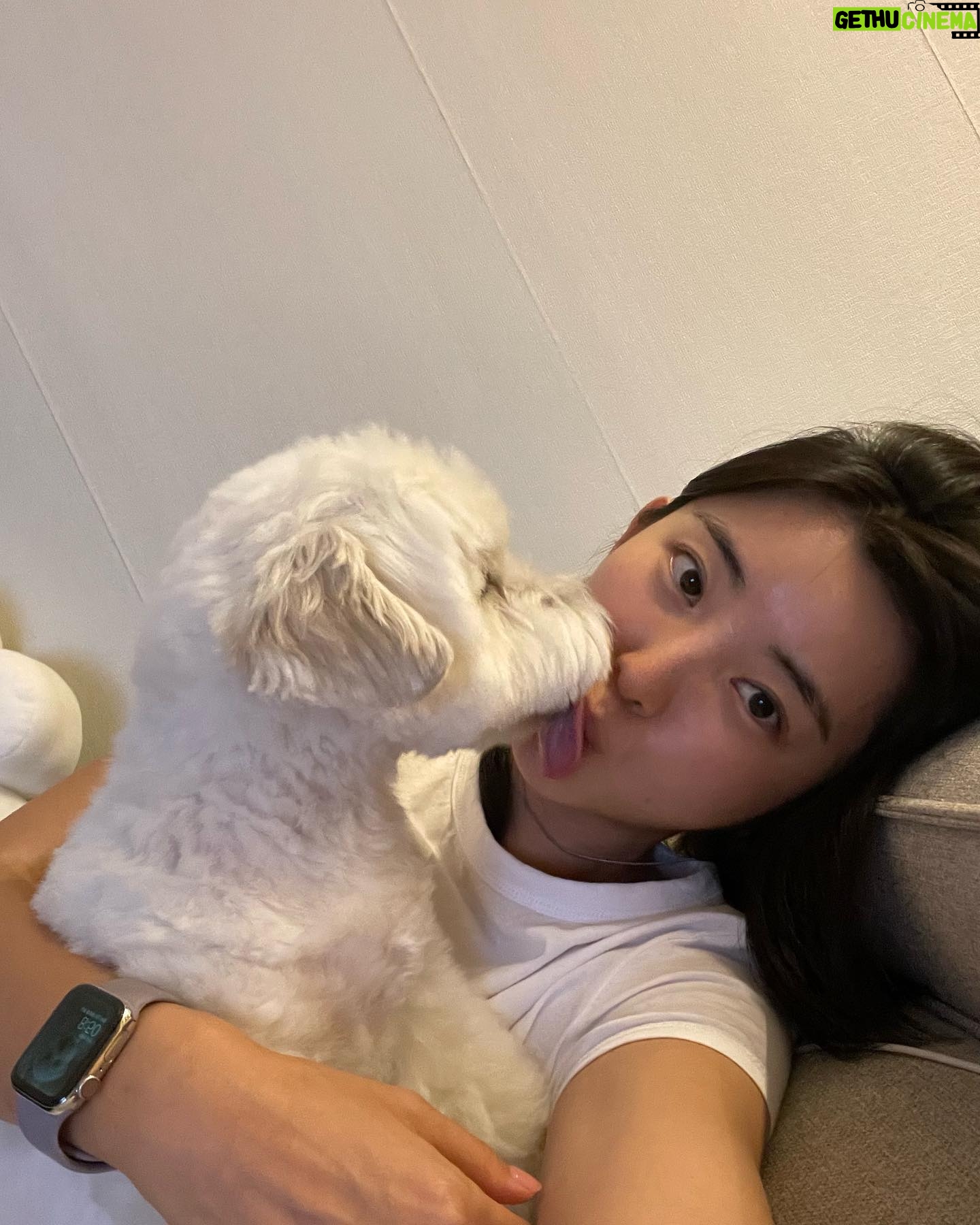 Kwon So-hyun - 3 Likes - 뽀뽀 1초전 💋
뽀뽀 후 뿌듯 🐶