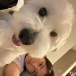 Kwon So-hyun Instagram - 뽀뽀 1초전 💋 뽀뽀 후 뿌듯 🐶