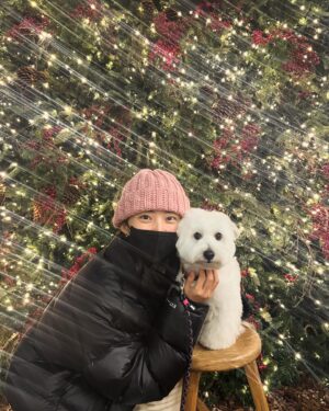 Kwon So-hyun Instagram - 너와 나의 크리스마스 🎄
크리스마스 이브는 권총이 태어난 날~🫶
Happy birthday Kwon Chong🎁🎂🎁🎂
Merry Christmas 🎄🎁