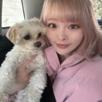 Kyary Pamyu Pamyu Instagram - 今年もよろしくね🐶