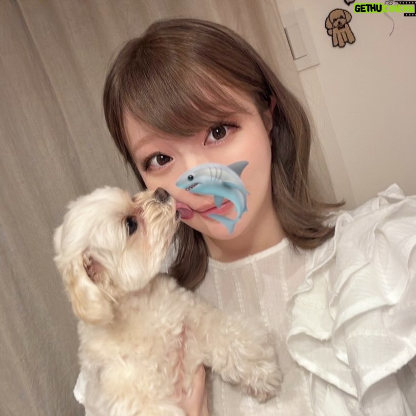 Kyary Pamyu Pamyu Instagram - Olive beige🫒💇🏻♀️🐶