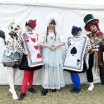 Kyary Pamyu Pamyu Instagram - GOBUGOBU Festival🤍