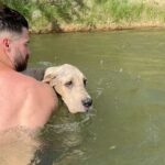 Kyle Krieger Instagram - 11/10 24hrs. One of my favorite memories of the last year with Littlefoot was going swimming for the first time even if she hated it. She turns 1 this week 🫠