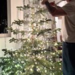 Kyle Krieger Instagram - The alien superstar of christmas trees 🎄