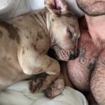 Kyle Krieger Instagram - Grateful for some incredible moments and days this year spending time with friends that I will cherish for a lifetime. Got a young pup, started a new career, challenged a lot of my own beliefs about what was possible for me, explored new national parks, checked a few things off my bucket list, went to therapy every week, deepened connections with loved ones, recovered from two surgeries, and watched my sister clinch a national title and go out on top. 11/10 year imo.