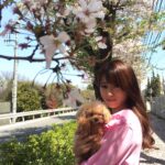 Kyoko Fukada Instagram - 撮影の合間に桜の花道をお散歩しました🌸天気が良い日は更に綺麗ですねぇ🍡桜の時期は無意識に気がついたら上を向いて歩いてる....🎀 #桜の絨毯 #メロン眠いのかな...？ #kyokofukada