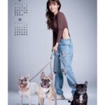 Kyoko Fukada Instagram - 私事ですが40歳のお誕生日を迎えました🎁当日は家族がお祝いしてくれて、幸せな日を過ごせました🥹 そしてもうひとつ嬉しいことに2023年のカレンダーも完成しました❗️テーマは「深田恭子✖️犬」にしたいと思い沢山のわんちゃん達に協力して頂きました🐶犬達のおかげでいつもと違った表情を切り取ってもらえてカレンダーも幸せカレンダーになりました♥️ ぜひお手にとっていただけたら幸いです💕 壁掛けカレンダー https://starsmall.jp/products/HPCL-S0001 卓上カレンダー https://starsmall.jp/products/HPCL-S0002