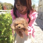 Kyoko Fukada Instagram - 撮影の合間に桜の花道をお散歩しました🌸天気が良い日は更に綺麗ですねぇ🍡桜の時期は無意識に気がついたら上を向いて歩いてる....🎀 #桜の絨毯 #メロン眠いのかな...？ #kyokofukada