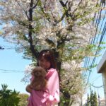 Kyoko Fukada Instagram - 撮影の合間に桜の花道をお散歩しました🌸天気が良い日は更に綺麗ですねぇ🍡桜の時期は無意識に気がついたら上を向いて歩いてる....🎀 #桜の絨毯 #メロン眠いのかな...？ #kyokofukada
