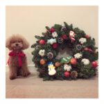 Kyoko Fukada Instagram - ⭐︎︎Merry Christmas 🎄 皆様にとって素敵な日になります様に...🎅❤️ こんな可愛い状況でこの顔...😳 前はいいお顔上手に出来たよね😅? #MelonChristmasEve #kyokofukada