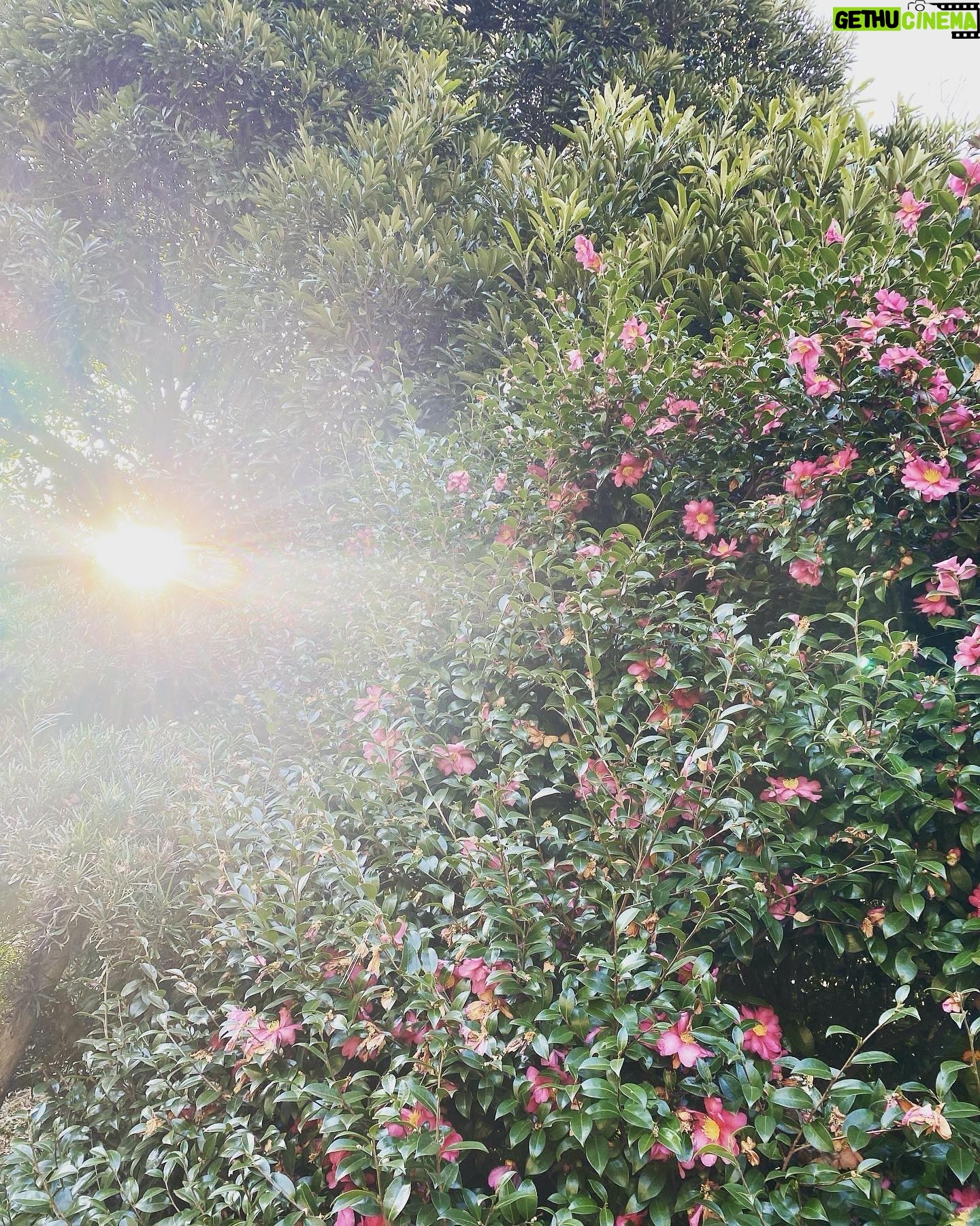 Kyoko Hasegawa Instagram - 新年のご挨拶ができないまま、今に至りました。 元旦から能登地方を中心に大変な状態が続いています。この間に私に何ができるのかを考えていました。 何が正解なのかは分かりませんが、被災地の方々に思いを馳せ、現時点で個人ができることは本当に少ないですが、私は然るべきときに何か行動に出れるよう、心身ともに健康に過ごすことが良いのかな、という答えに至りました。 色々な情報が交錯するなかで本当に必要だと感じた情報以外の共有は控えさせていただき、この度の地震で被害に遭われた方々の心労や苦しみが少しでも早く減り、1日も早く日常が戻ることを祈っています。 また、被害に遭われた方々のために懸命に働いて下さっている全ての方々に感謝を申し上げます。