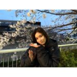 Kyoko Yoshine Instagram - 今日も頑張ろうね🌸 素敵な週末を！ @revenge_fujitv