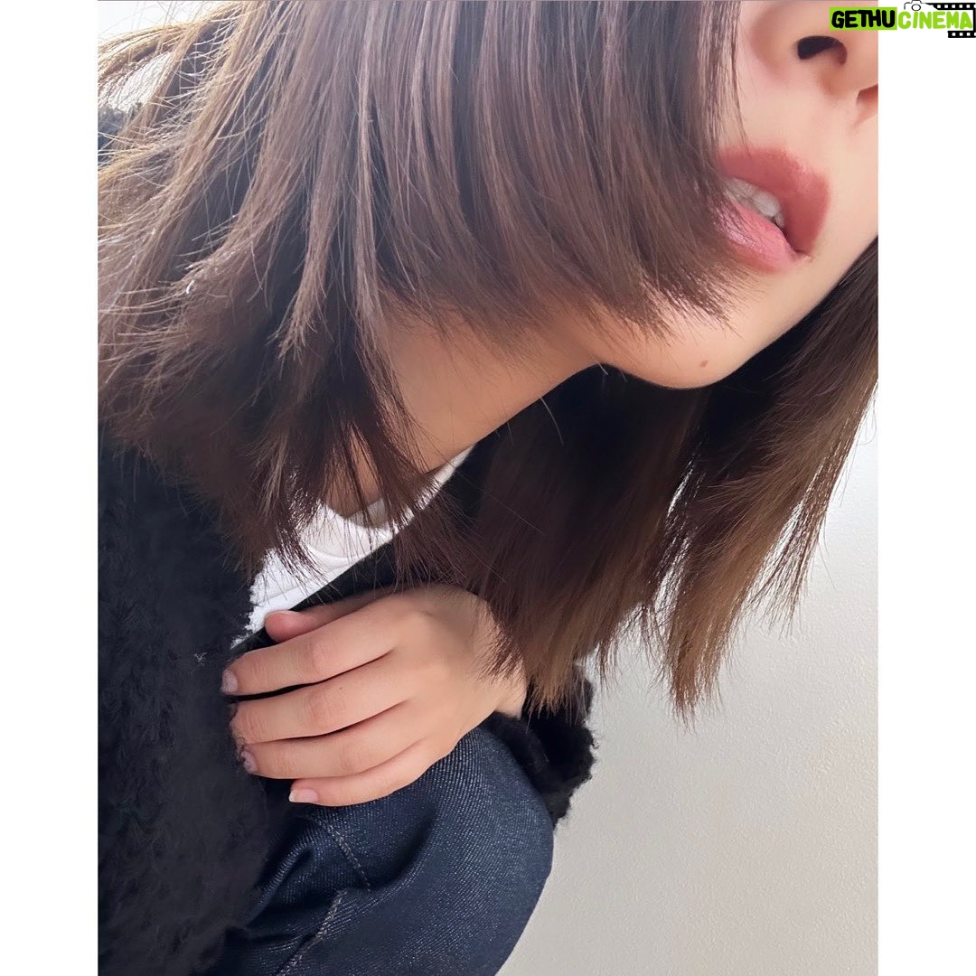 Kyoko Yoshine - 86.2K Likes - あっという間に大晦日。
今年もたくさんお世話になりました。
ありがとうございました☺︎
初めてお芝居をしたあの日から10年という節目だった2023年。
今年は写真集だったりイベントだったり...
いつも以上に皆さんと交流出来て嬉しかったです。
会いに来てくれてありがとうございました🌼
楽しんでいただけましたでしょうか?
2024年はどんな年になるかな。
またひとつひとつ精一杯頑張っていきたいと思います。
来年もみんなで一緒に進んでいきましょう。
なかなか更新できていなかったので
最近の思い出と共に🎄🍺🗻💇♀️💫
みなさま良いお年をお迎えください。