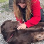 Laëtitia Milot Instagram – La @cdadecabriesofficiel est devenue partenaire-refuge de la fondation @30millionsdamis.
30 millions d’amis est venue avec des chiens qui ont tous été maltraités mais qui ont été réhabilités grâce à la fondation, ils ont tous une histoire touchante et sont prêts à l’adoption maintenant 🥰
La fondation est venue avec des niches, des croquettes, des médicaments, des jouets, des couvertures etc… et la CDA les accueille avec beaucoup de générosité.

#animaux #chien #chat #dog #cat #animals #cadeaux