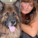 Laëtitia Milot Instagram - Jack, Ruben, Kira, Jack, Cookie et les autres animaux du @cdadecabriesofficiel, refuge partenaire de @30millionsdamis, n’attendent qu’une famille qui est prête à leur offrir de l’amour ! ❤️🐾🐱🐶 #adoption #chien #chat #marseille #provence