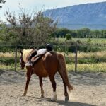 Laëtitia Milot Instagram – Une jolie série de figures pour Lyana lors de son cours de voltige ! 😍 Je crois bien que son sport préféré est l’équitation ! 🤠
Quel était votre sport préféré lorsque vous étiez enfant ? Personnellement, c’était la danse 🥰
#cheval #equitation #voltige #sport