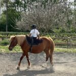 Laëtitia Milot Instagram – Une jolie série de figures pour Lyana lors de son cours de voltige ! 😍 Je crois bien que son sport préféré est l’équitation ! 🤠
Quel était votre sport préféré lorsque vous étiez enfant ? Personnellement, c’était la danse 🥰
#cheval #equitation #voltige #sport