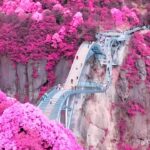 La Toya Jackson Instagram – Would you walk this? It’s beautiful but who’s afraid of #heights? I wouldn’t!
#photooftheday #instagood #beauty