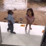La Toya Jackson Instagram - Awe how cute! Reminds me of Bubbles! So smart #photooftheday #beautiful #Life #cute #Love #animals #instagood #bubbles #Chimp #fun #smile #happy #lifestyle #nature #picoftheday #fridayfeeling