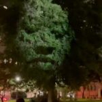 La Toya Jackson Instagram – Can you spot the face in the trees? The beauty of nature!
#instagood #nature #beauty #trees #life #photooftheday #beautiful