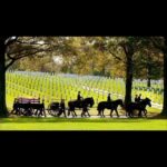 La Toya Jackson Instagram - Remembering the fallen in the name of freedom. The ones who paid the ultimate sacrifice, gave their lives for us and never came home. #Memorialsday #veterans #Memorialsday2023