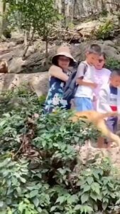 La Toya Jackson Instagram - They are so aggressive, it’s frightening! #life #monkeys