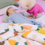 La Toya Jackson Instagram - What a beautiful loving moment! How sweet is this💖 #Love #kindness #Caring #animals #dog #babies #thursdaymorning #instagood #mood #photooftheday #instagram #thursdayvibes