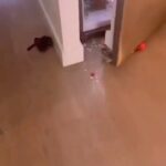 La Toya Jackson Instagram – Imagine waking up to this!!!
I’m sure some of you have experienced this!

#tuesdayvibe #kids #kidsfood #intagood #goodeats