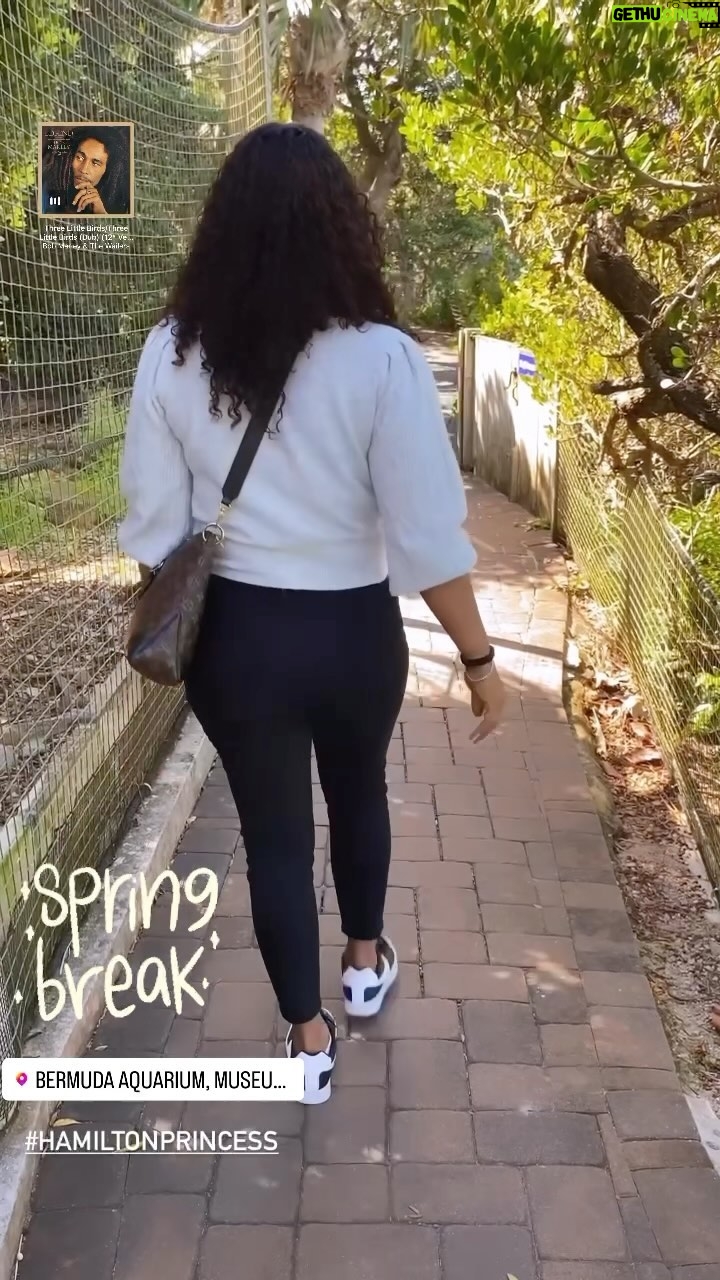 Laila Ali - 3 Likes - 🏝️Spring Break in #Bermuda~We toured the island and stopped by the @bda_zoo_society. Learned more facts about Bermuda (one of my favorite places to visit)then headed back to @PrincessBermuda to relax!
#HamiltonPrincess