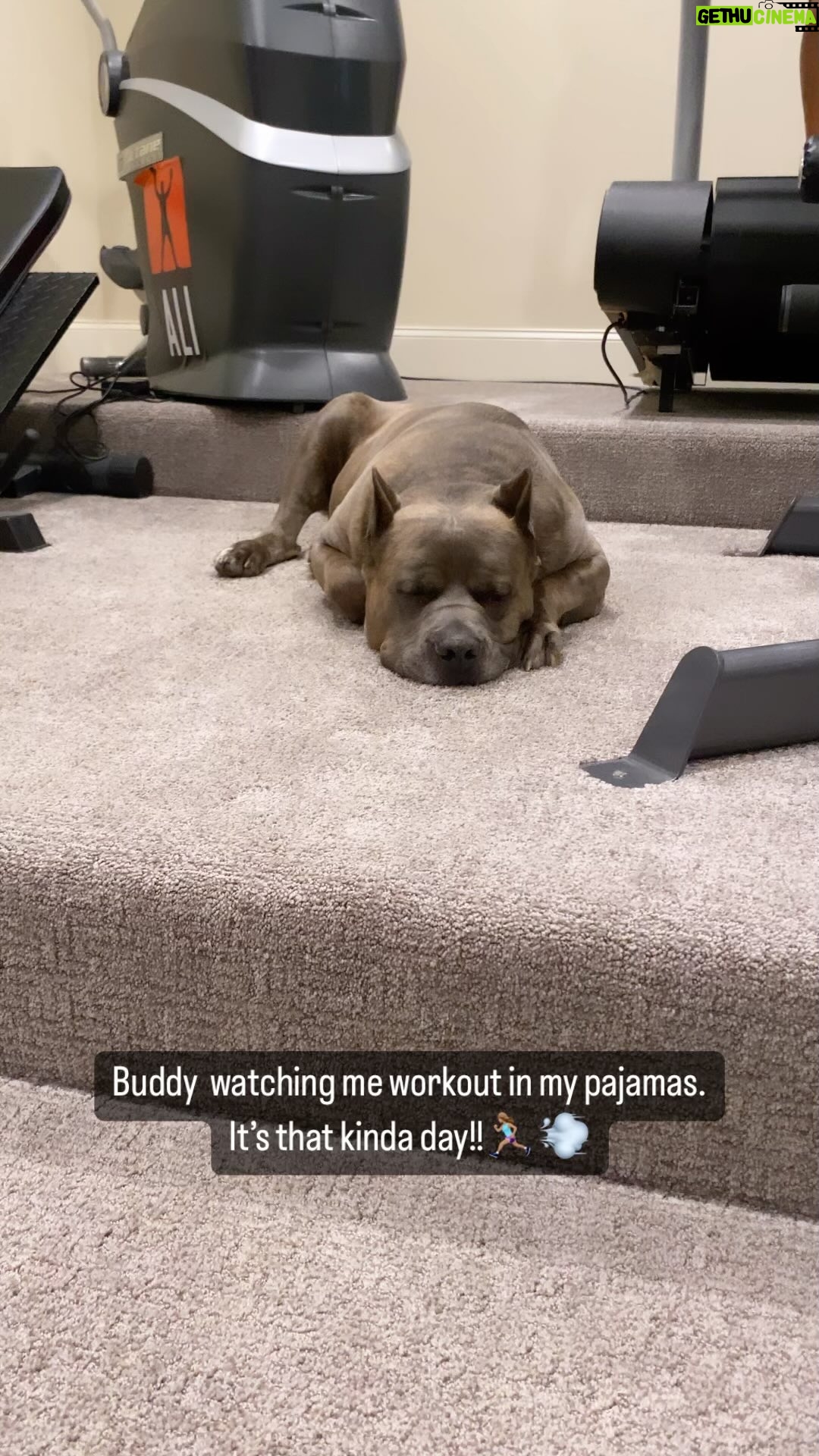 Laila Ali Instagram - ….Sometime you just have to get it done no matter what! Pajama workout it is! (Trust me you done want to see it and I have hair & breath to match) 😂🤷🏽♀️