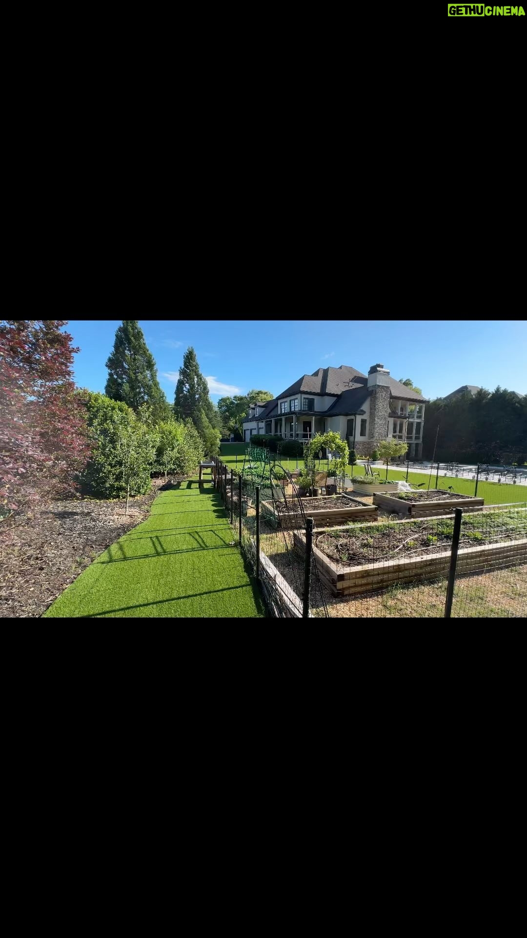 Laila Ali - 3 Likes - #ConwayHomeGarden is getting ready to take off again!! 🙏🏽🌱♥️