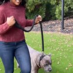Laila Ali Instagram - #ad My health journey extends to my entire family, including my pups…I want Malibu and Buddy to live their best life too! EverRoot makes it easy for me to maintain my dogs’ wellness. With their wide line of dog supplements, you can find a product to help with any issue. Calming, Brain Health, Digestion, Skin & Coat... the list goes on! EverRoot eases your mind with one simple step, their supplement! Be sure to check out EverRoot’s website to see the full range of products at www.everroot.com. #EverRootPartner