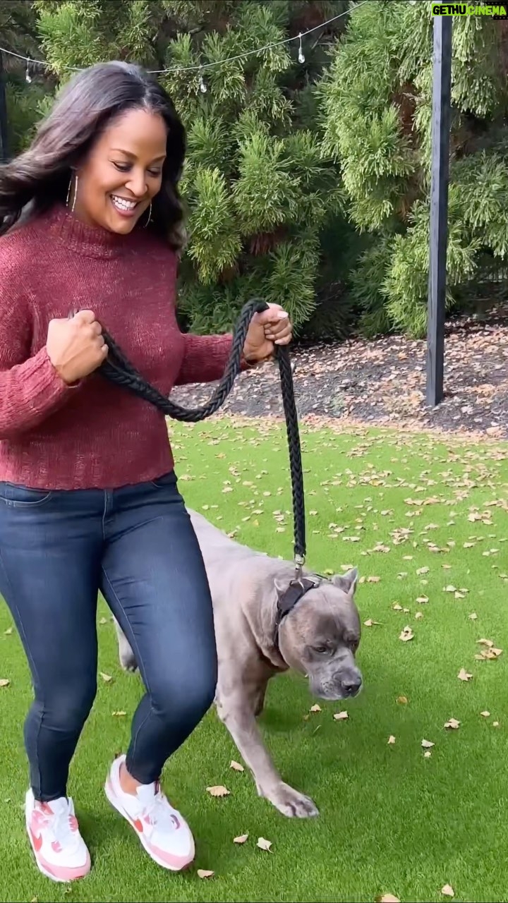 Laila Ali - 6.3K Likes - #ad My health journey extends to my entire family, including my pups…I want Malibu and Buddy to live their best life too! EverRoot makes it easy for me to maintain my dogs’ wellness. With their wide line of dog supplements, you can find a product to help with any issue. Calming, Brain Health, Digestion, Skin & Coat... the list goes on! EverRoot eases your mind with one simple step, their supplement! Be sure to check out EverRoot’s website to see the full range of products at www.everroot.com.
#EverRootPartner