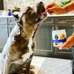 Laila Ali Instagram - #ad Just like we prioritize our own health, I want to remind everyone that pet health should always be top of mind too…which is why I am thrilled to be introducing the new Soft Chews from @EverRootDogSupplements! They use ingredients you can trust, like pumpkin and fish oil, to provide health benefits my pups need. And they will come in five varieties – multi-benefit, skin & coat, and hip & joint available now, and digestion and calming coming in early December. Check out the link in my bio for more info on where to find EverRoot’s new Soft Chews! #EverRootPartner 🐾LINK IN BIO