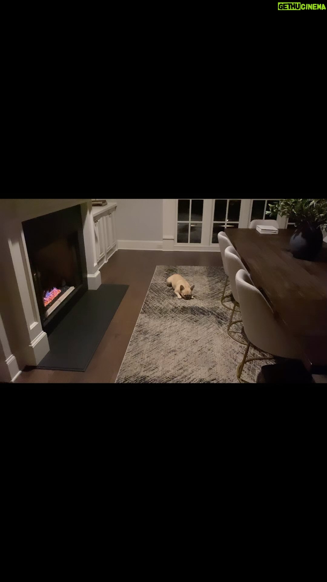 Laila Ali - 3 Likes - 🥰My girl Malibu always finds the warmest spot in the house to chill!