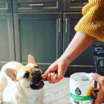 Laila Ali Instagram - #ad Just like we prioritize our own health, I want to remind everyone that pet health should always be top of mind too…which is why I am thrilled to be introducing the new Soft Chews from @EverRootDogSupplements! They use ingredients you can trust, like pumpkin and fish oil, to provide health benefits my pups need. And they will come in five varieties – multi-benefit, skin & coat, and hip & joint available now, and digestion and calming coming in early December. Check out the link in my bio for more info on where to find EverRoot’s new Soft Chews! #EverRootPartner 🐾LINK IN BIO