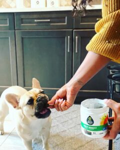 Laila Ali Instagram - #ad Just like we prioritize our own health, I want to remind everyone that pet health should always be top of mind too…which is why I am thrilled to be introducing the new Soft Chews from @EverRootDogSupplements! They use ingredients you can trust, like pumpkin and fish oil, to provide health benefits my pups need. And they will come in five varieties – multi-benefit, skin & coat, and hip & joint available now, and digestion and calming coming in early December. Check out the link in my bio for more info on where to find EverRoot’s new Soft Chews! #EverRootPartner 🐾LINK IN BIO