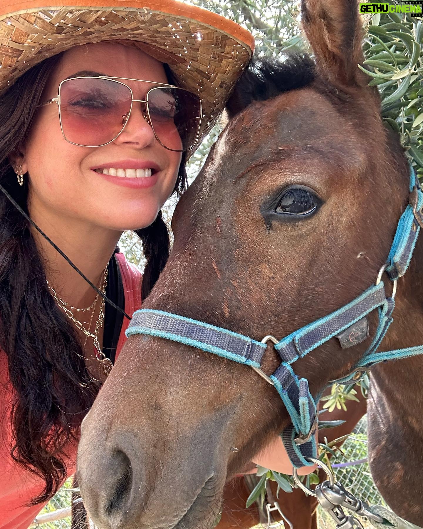 Lana Parrilla Instagram - After 17yrs, I decided to finally come back to the Sierra Nevada Mountains to ride with the best horseman in all of España at the @caballos_la_querencia campo 🐴 🇪🇸 I met my dear friend Fernando Reyero in the summer of 2006 when I decided to move to Spain to study Spanish and brush up on my horseback riding skills 3x a week for nearly 5 months. And where better than the Andalucia in España, right! Granada, Spain became one of my most favorite cities in the world. As someone who’s Spanish speaking skills were poor, you can imagine how intimidating it was to move to a foreign country, not knowing anyone and trying to connect with people who don’t speak your language. Luckily for me, I met one person who really helped me feel welcomed. I was immediately embraced by Fernando who’s English is perfect. He’s not only an incredible teacher and horseman, he’s a wonderful writer and a study of multiple languages. So when I arrived, he greeted me in English, Spanish and French and said, “Which do you prefer?” I replied, “English for now.” 🫣 If you’re looking for adventure on horseback in one of the most stunning places in the world, look no further. Fernando has the most beautiful horses & pups that will melt your heart upon meeting them. He’s created such a wonderful family with these animals and they will all go with you on the journey up the mountain and wait for you while you cool off with a refreshing drink & tapas while overlooking the impressive views of the Sierra Nevadas. This magical experience will keep you smiling for days! For the past 17yrs I’ve wanted to live in this part of Spain. I’ve honestly never been happier. Living with just my basic needs, surrounded by beautiful people, food and culture. And since this trip, I feel like I’m getting closer to that dream. Yay! Who knows, maybe we’ll end up riding together one day! 🤞 Plz go to @caballos_la_querencia for more information on how to have to the adventure of a lifetime. And please make sure to give Fernando a big hug for me! ❤️🇪🇸🐴🍻 #adventure #españa #horsebackriding #andalucia #spain #horses #riding #caballos #friendship #supportsmallbusiness #happiness #caballoslaquerencia #potd